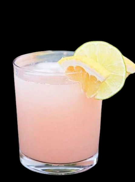 Malibu Paloma